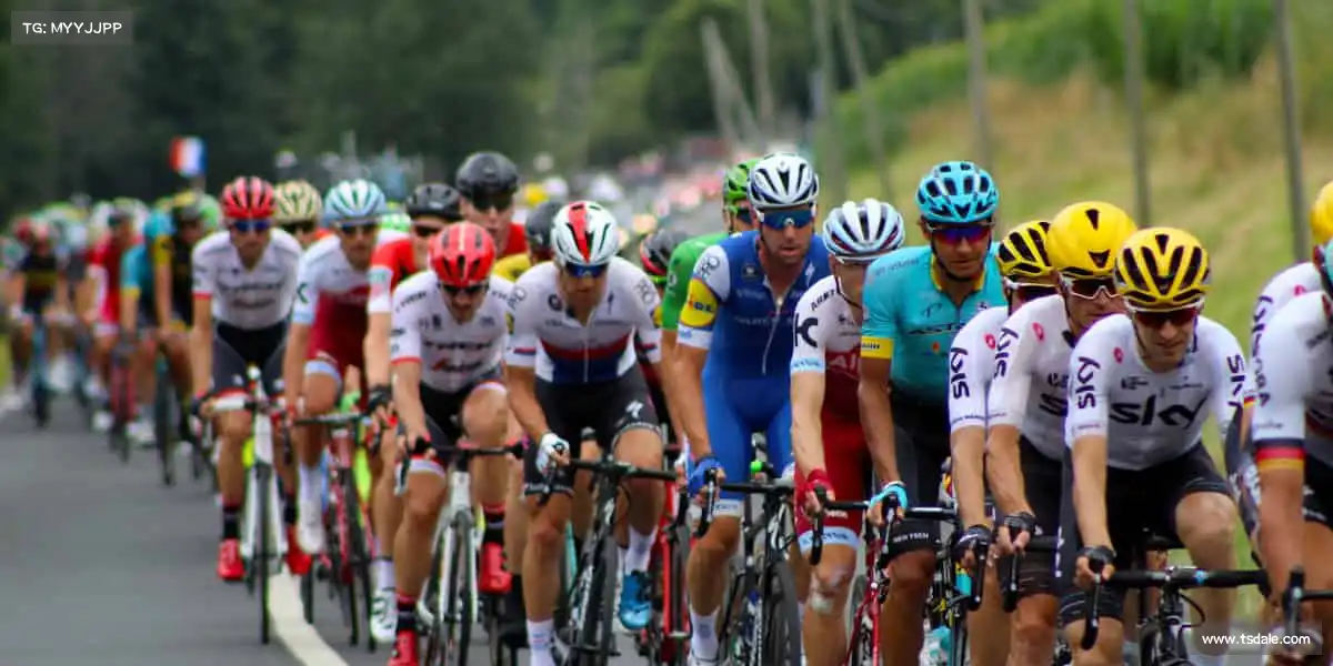 我们的核心竞争力